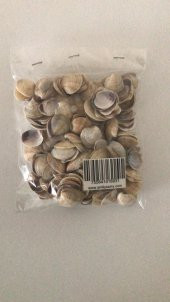 Küçük Deniz Kabuğu Süs Dekoratif Akvaryum Süsleme 100 Gr - 3