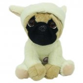 Kıyafetli Havlayan Pug Köpek - 4