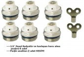 Panel Radyatör ve havlupan Hava Alma Purjör 6 ad+2 anahtar - 2