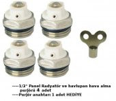 Panel Radyatör ve havlupan Hava Alma Purjör 4 ad+1 anahtar - 2