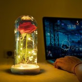 Cam Fanus İçerisinde Dekoratif Led Işıklı Solmayan Gül Lamba - 2