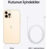 Apple iPhone 12 Pro Max 128 GB Altın Cep Telefonu (Apple Türkiye Garantili) - 5