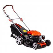 Palmera DM51P-D196 Çim Biçme Makinesi - 1