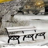 Çift Kişilik Nevresim Takımı/Seti İki Yastık Kılıflı Snowy/Kış Beyaz  100 Cotton/Pamuk Big Ssize/Büyük Beden Terletmez Solmaz - 2