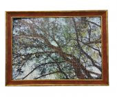 1000 Parça Puzzle Çerçevesi -Vişne - 48*68 - 50 mm - 1