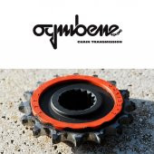 Triumph Tiger 955i (2004-2008) Ognibene Motosiklet Ön Dişli - 1