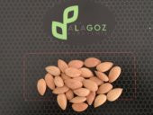 KAYISI ÇEKİRDEĞİ 1000 GR - 1