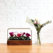 Edn Bitkiler ve Çiçekler için İç Mekanda Yetiştirme Akıllı Bahçe Başlangıç Seti - 4