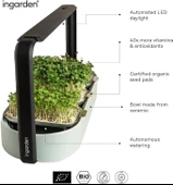 Ingarden Organik Süper Tohum Yetiştirme Kiti Otomatik 4 Kademe Led - Nane Yeşili - 3