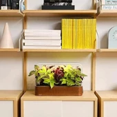 Edn Bitkiler ve Çiçekler için İç Mekanda Yetiştirme Akıllı Bahçe Başlangıç Seti - 3