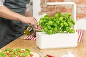 Click & Grow Kapalı Alan Bitki Bahçesi Seti Büyüme Işığı - Beyaz - 3