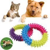 Köpek Diş Temizleme Isırma Çemberi Kaşıma Isırma Oyuncağı - 1