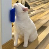 Kedi Kaşınma Aparatı Kedi Otlu Kedi Oyuncağı - 4