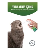 Kedi Ağız Bakımı Köpek Ağız Kokusu Diş Eti Yarası Enfeksiyonu Doğal Ağız ve Diş Bakım Spreyi 100ml - 3