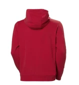 Helly Hansen HH Logo 2.0 Kapişonlu Erkek Sweatshirt HHA.30394.162 thumbnail 2