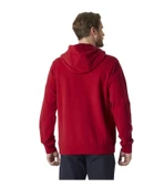 Helly Hansen HH Logo 2.0 Kapişonlu Erkek Sweatshirt HHA.30394.162 thumbnail 5