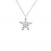 925 Ayar Gümüş Kar Tanesi Kolye - 1