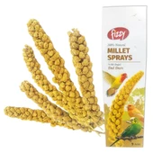 Fizzy Doğal Dal Darı - 1