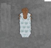 Ecocotton Organik Pamuk Unisex Kolsuz 2li Bebek Zıbın - Borneo - 3