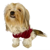 Cream Bordo Kapşonlu Sweat by Kemique Köpek Kazağı - 5