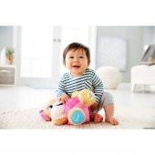 Fisher Price Yaşa Göre Gelişim Eğtici Köpekçiğin Kız Kardeşi (Türkçe) FPP83 - 3