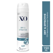 XO Deodorant 150ML Women-Kadın Dry & Effective (5 Li Set) - 3