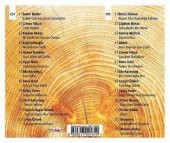 TÜRKÜLERE KALAN 3 - ÇEŞİTLİ SANATÇILAR (2 CD) - 2