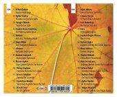 TÜRKÜLERE KALAN 2 - ÇEŞİTLİ SANATÇILAR (2 CD) - 2