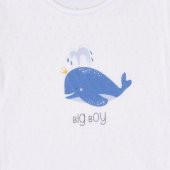 KitiKate Hello Summer Çocuk Boy Body 85242 Erkek - 2