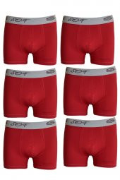 Erkek Büyük Beden Boxer Battal Boy Likralı Boxer Sof 6lı paket - 3
