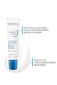 Bioderma Sebium İzokit + Sebium Hydra Cleanser 200 ml - Sebium Hydra 40 ml - Atoderm Levres 15 ml - 3