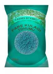 1 Kg Fare Kulağı (Dichondra Repens ) Tohumu - 1