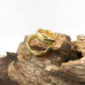 2li Örgü Gold Kıkırdak Küpe - 2