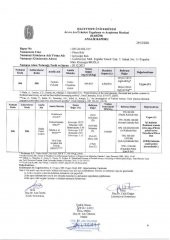 Kb Köyceğiz Balı Püren Balı 330 G Cam Kavanoz - 6