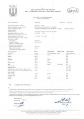 Kb Köyceğiz Balı Çaltı Balı 850 G Cam Kavanoz - 7