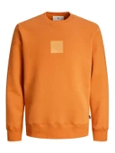 Jack & Jones Jprblaleo Sweat Crew Neck Erkek Sweatshirt thumbnail 5