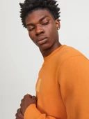 Jack & Jones Jprblaleo Sweat Crew Neck Erkek Sweatshirt thumbnail 4