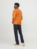 Jack & Jones Jprblaleo Sweat Crew Neck Erkek Sweatshirt thumbnail 3