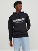 Jack & Jones Jorlakewood Sweat Hood Bf Ln Erkek Sweatshirt thumbnail 1