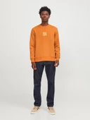 Jack & Jones Jprblaleo Sweat Crew Neck Erkek Sweatshirt thumbnail 2