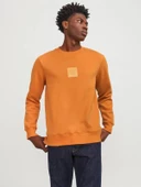 Jack & Jones Jprblaleo Sweat Crew Neck Erkek Sweatshirt thumbnail 1