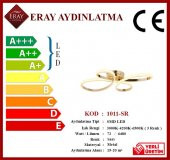 Eray Aydınlatma 1011-SR Sarı  Led Avize - 4