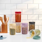 Schafer Lane 6 lı Saklama Kabı-Asorti - 1