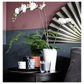 IKEA Papaja 12x19 cm Dekoratif Saksı Beyaz Toprak Kap - 5