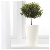 IKEA Papaja 12x19 cm Dekoratif Saksı Beyaz Toprak Kap - 2