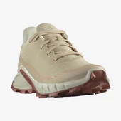 Salomon Alphacross 5 W Kadın Koşu Ayakkabısı - 5