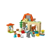 10416 Lego Duplo Çiftlik Hayvanlarının Bakımı 74 parça +2 yaş - 2