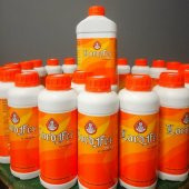 LORDFER MİX SIVI BORLU MANGANLI DEMİRLİ MAGNEZYUMLU GÜBRE TAKVİYESİ 5 LİTRE - 1