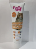 Funny Paste Multivitamin Kedi Macunu 100 Gr - 1