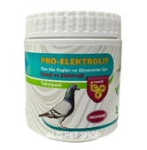 Kanatlılar Için Pro Elektrolit 250 Gr - 2